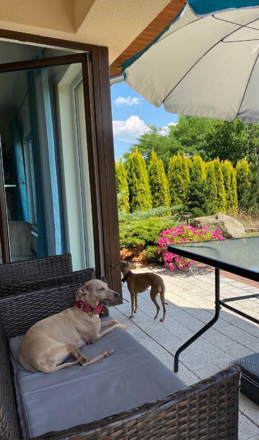 Sloneczne Apartamenty โปลานิซา-สดรอยจ์ ภายนอก รูปภาพ